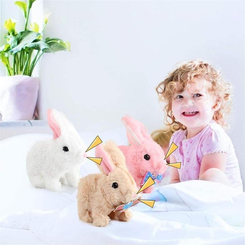 Educational Interactive Toy