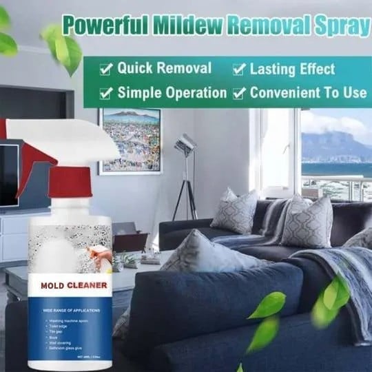 EcoClean Mold & Mildew Remover