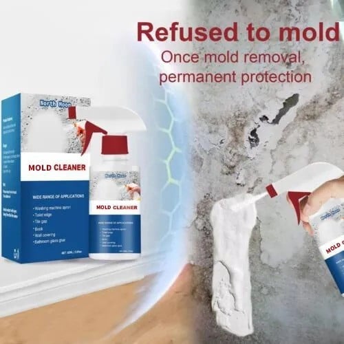 EcoClean Mold & Mildew Remover