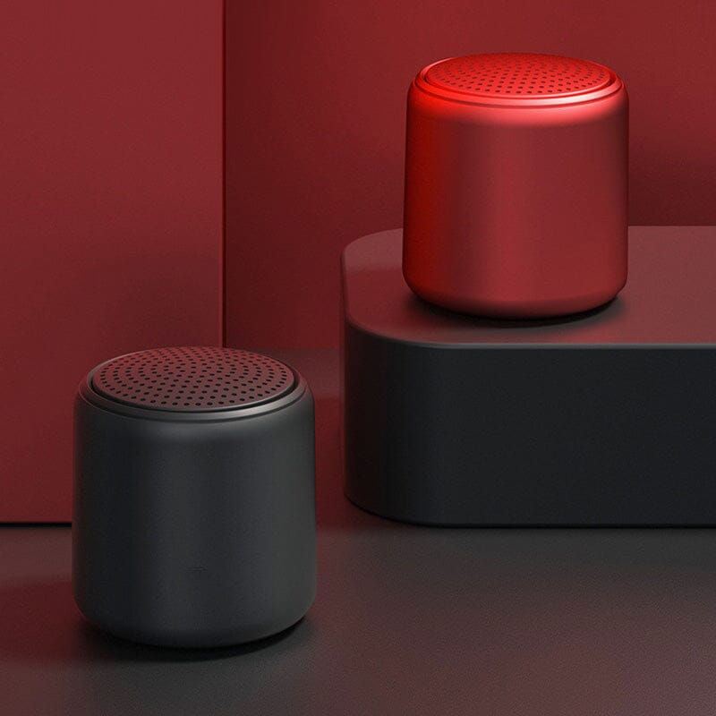 Portable Bluetooth Speaker