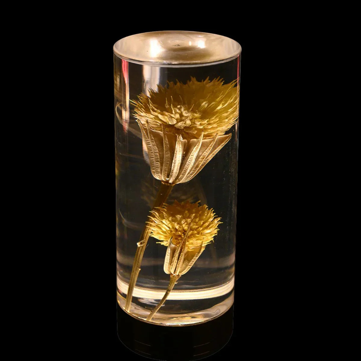 FloraGlow - LED Table Lamp with Flower-Filled Clear Cylinder Base