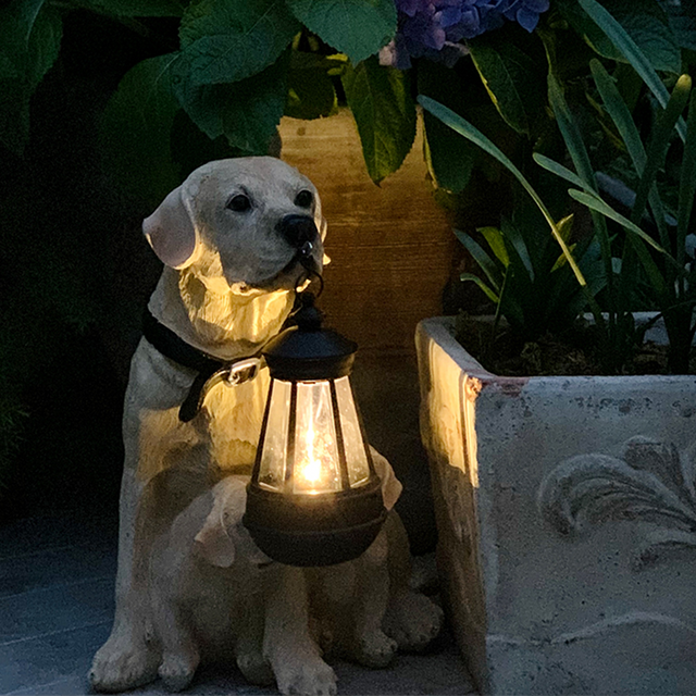 Playful Paws Solar Lantern