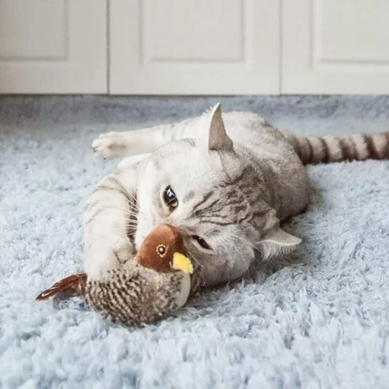 Cat Toy - Simulated Chirping Bird