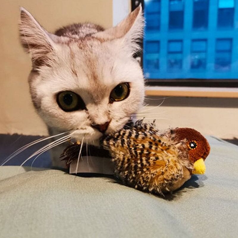 Cat Toy - Simulated Chirping Bird