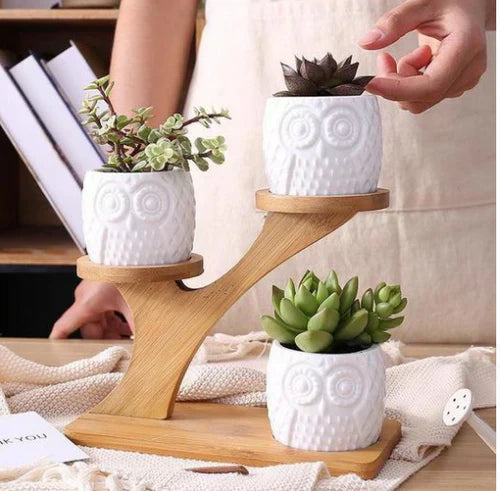 OwlTrio Wooden Plant Holder with Decorative Owl Pots for Indoor Use