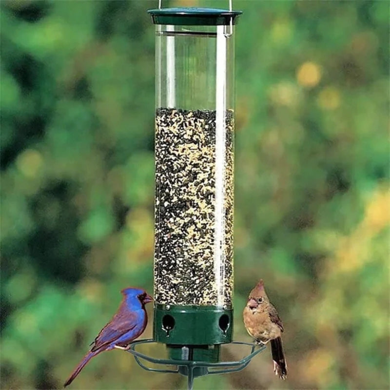 BirdBite - Squirrel-proof bird feeder with four openings and large seed capacity