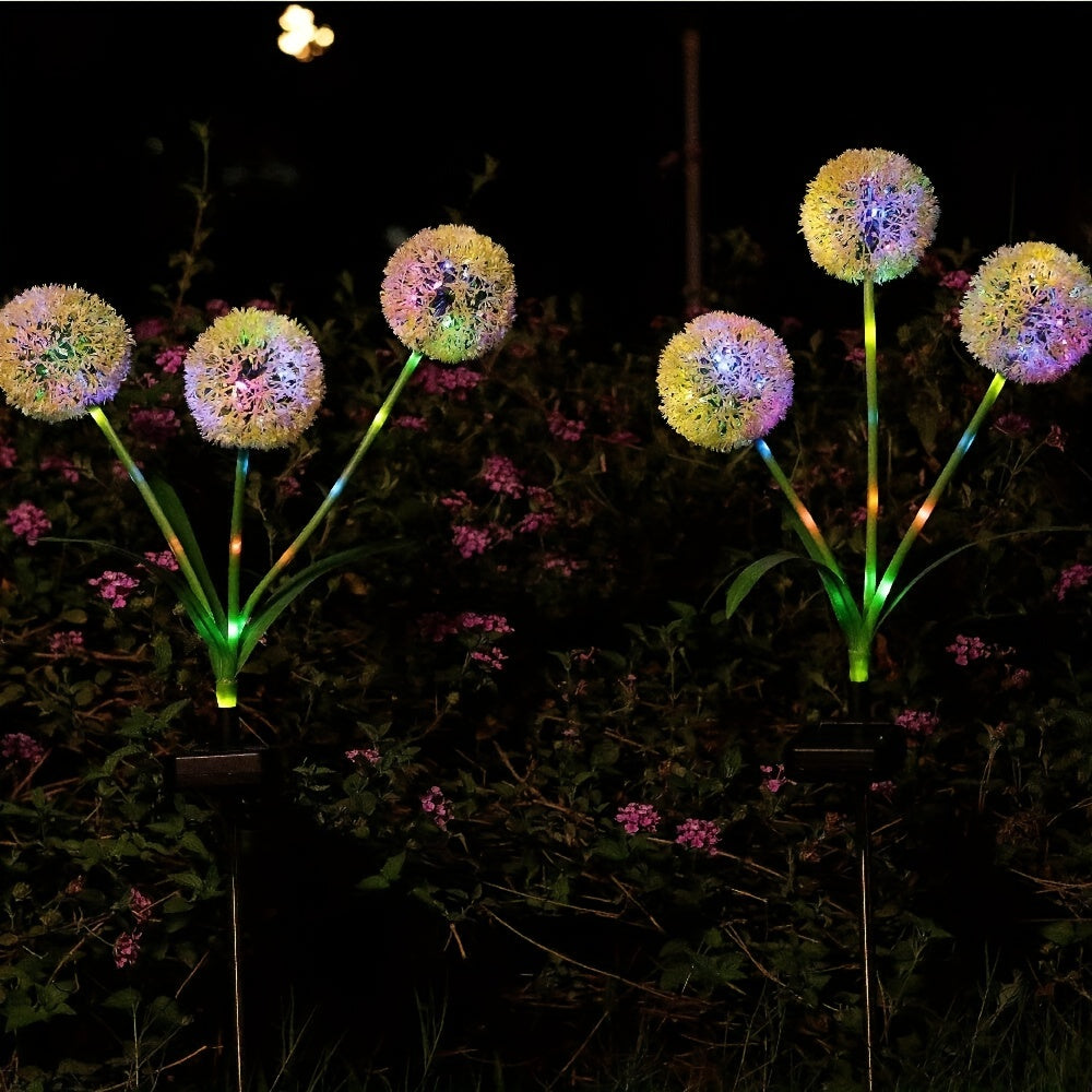 Radiant Solar Dandelion Lights