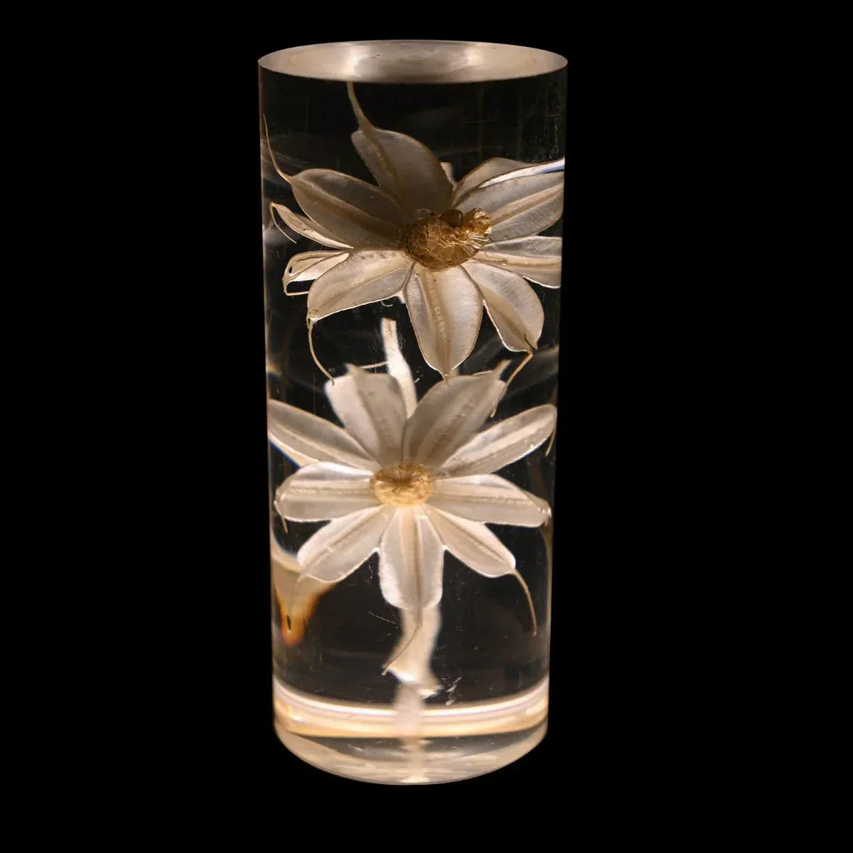 FloraGlow - LED Table Lamp with Flower-Filled Clear Cylinder Base