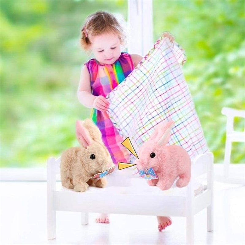 Educational Interactive Toy