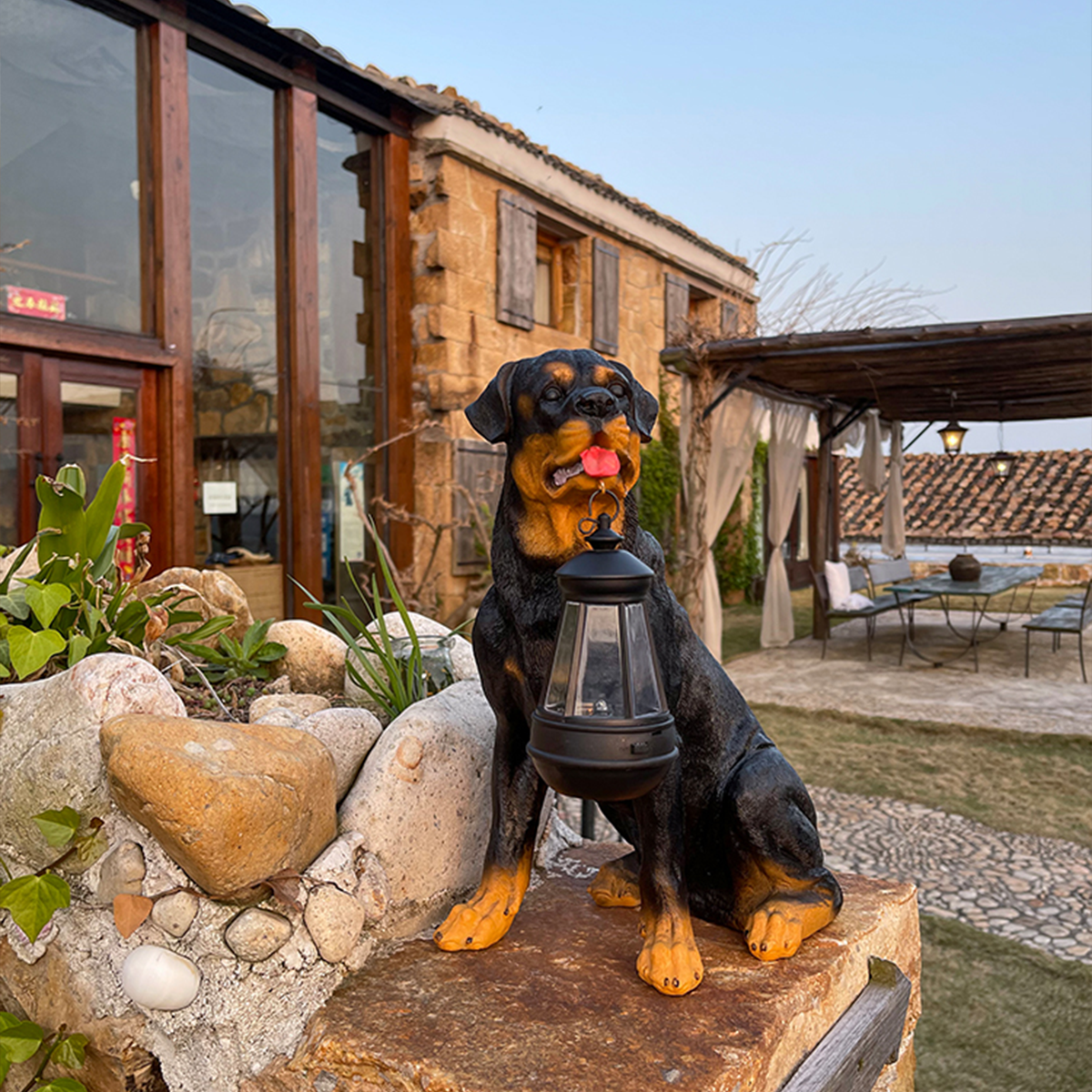 Playful Paws Solar Lantern