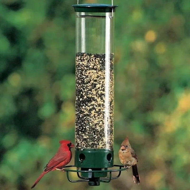 BirdBite - Squirrel-proof bird feeder with four openings and large seed capacity