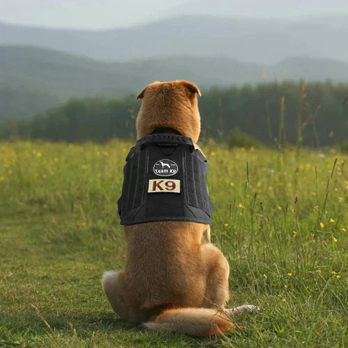 PawsSecur Tactical Dog Vest – No-Pull Harness with Adjustable Support Panels
