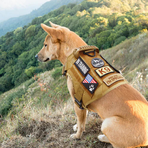 PawsSecur Tactical Dog Vest – No-Pull Harness with Adjustable Support Panels