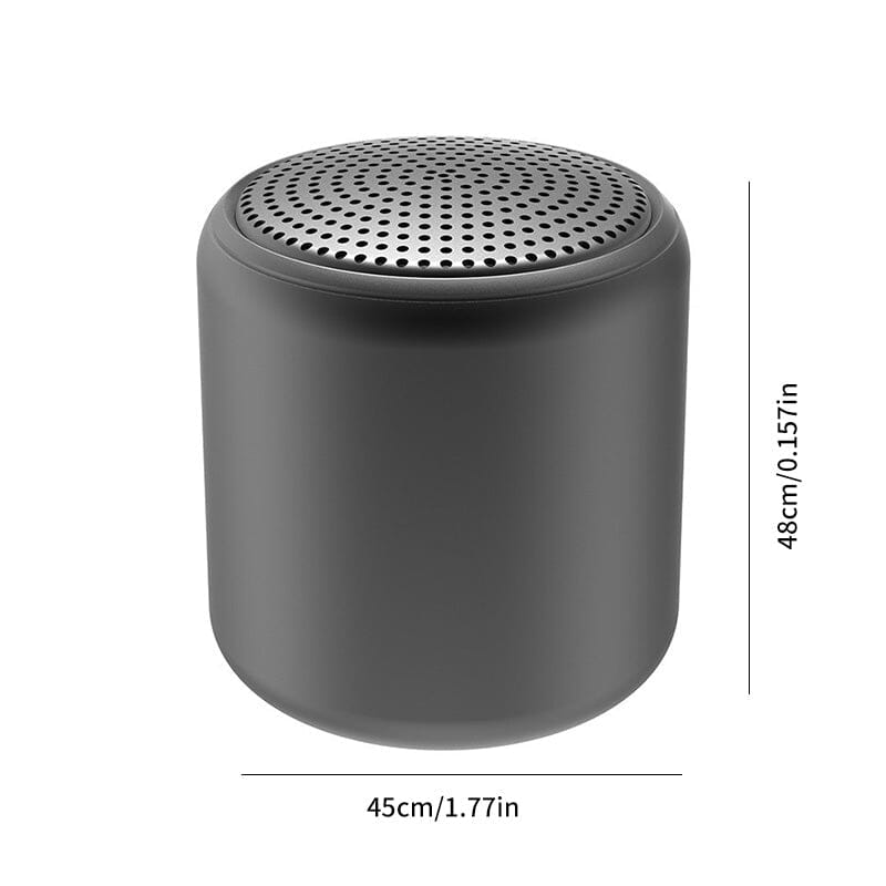 Portable Bluetooth speaker