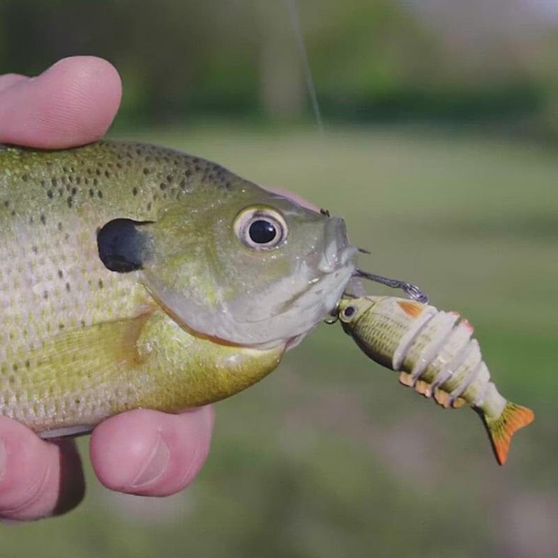 Tiny Fishing Lures – Perfect for Precision Fishing