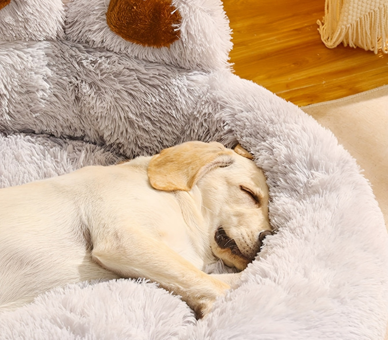 CozyPaw Washable Pet Bed with Paw-Shaped Design