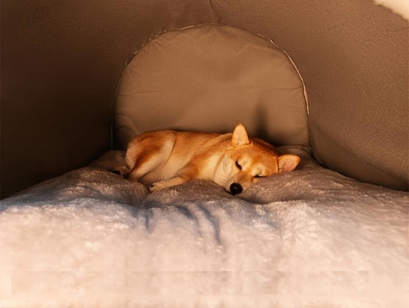 Warm and Comfortable Dog House Bed