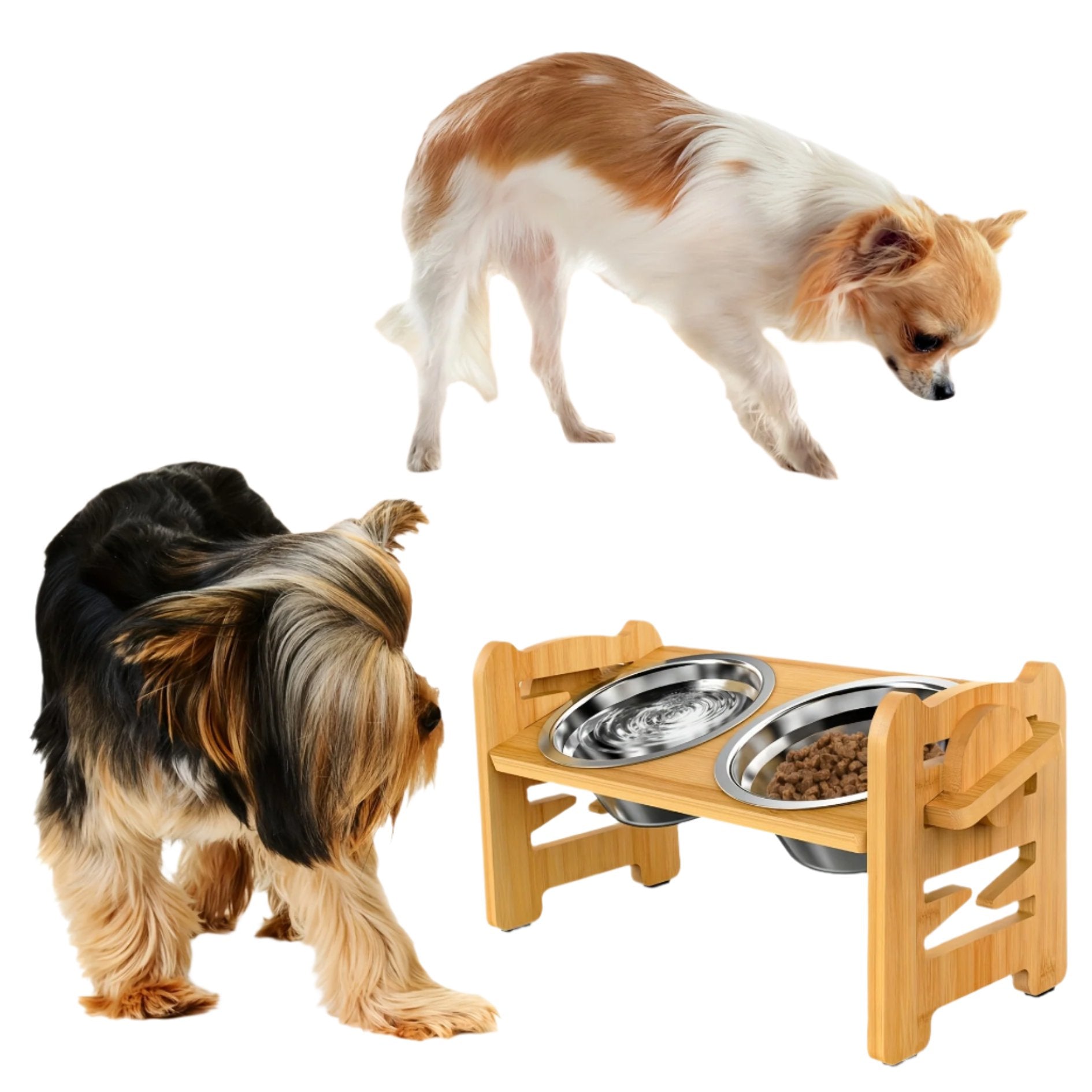 Elevated Anti-Slip Dog Food Stand with Double Bowls