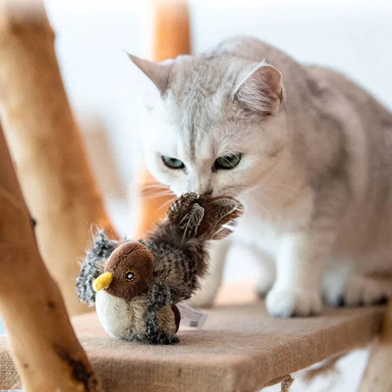 Cat Toy - Simulated Chirping Bird