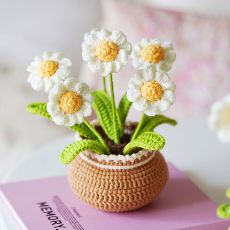 BloomCraft - Decorative Flower Pots for the Elegance of Your Home