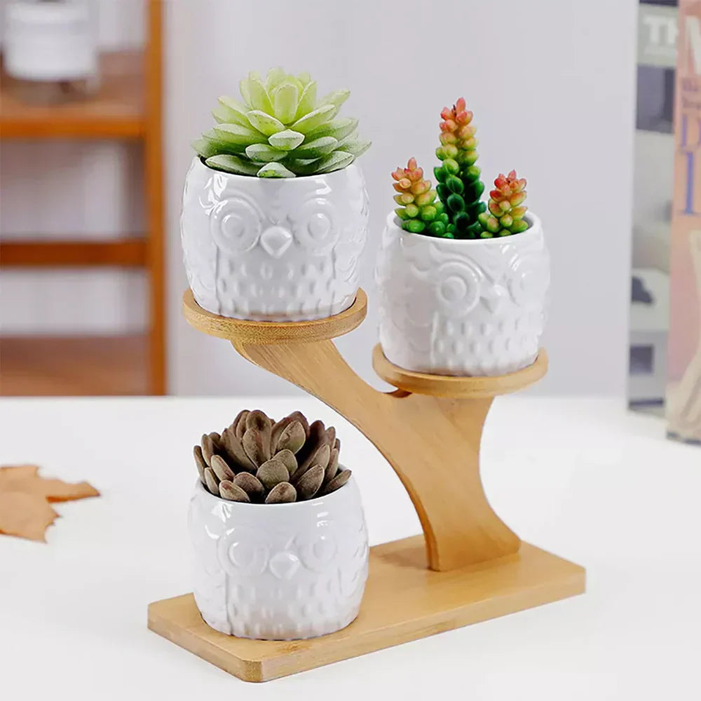 OwlTrio Wooden Plant Holder with Decorative Owl Pots for Indoor Use