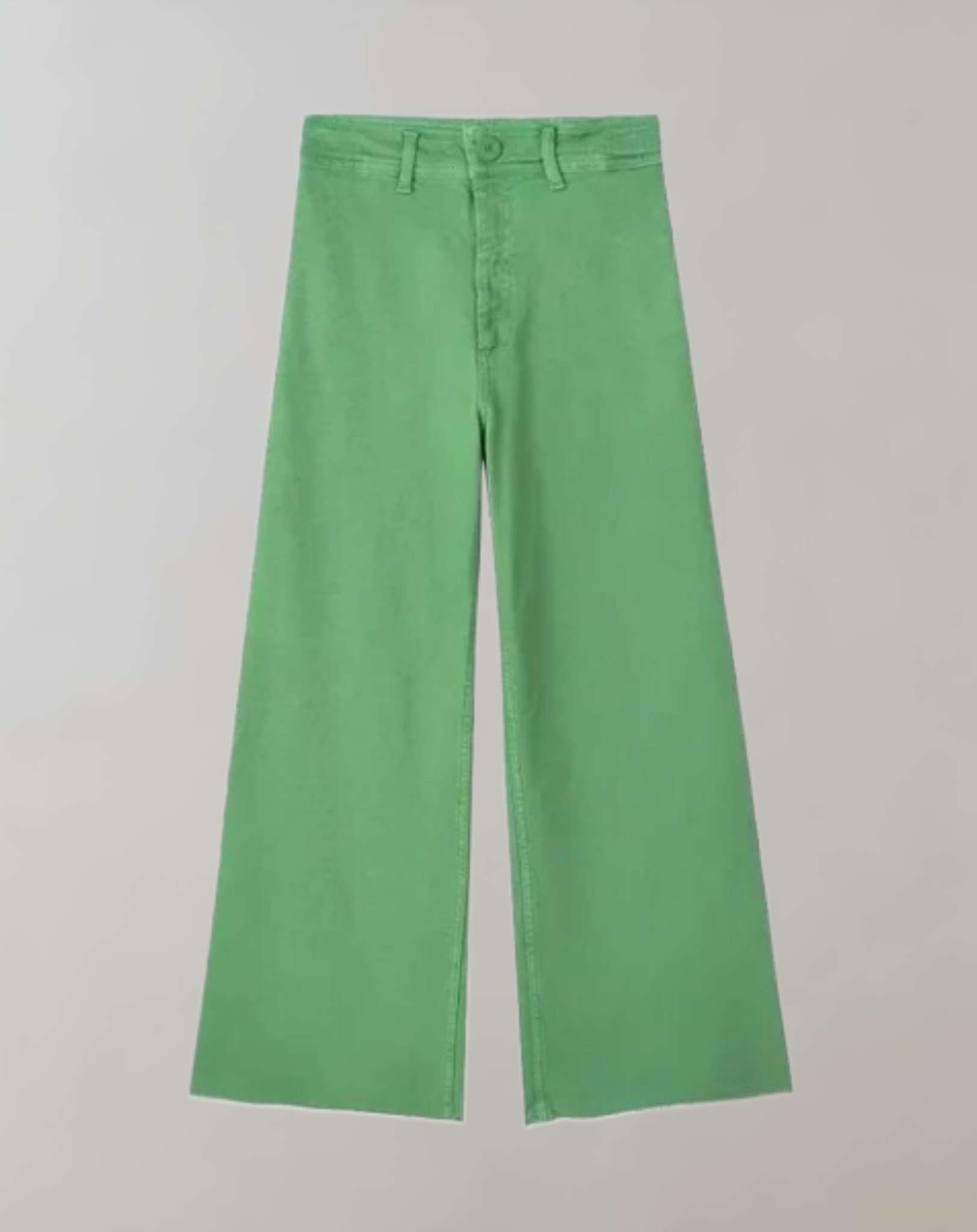 Ivy - Trousers with a high waistband and a straight cut