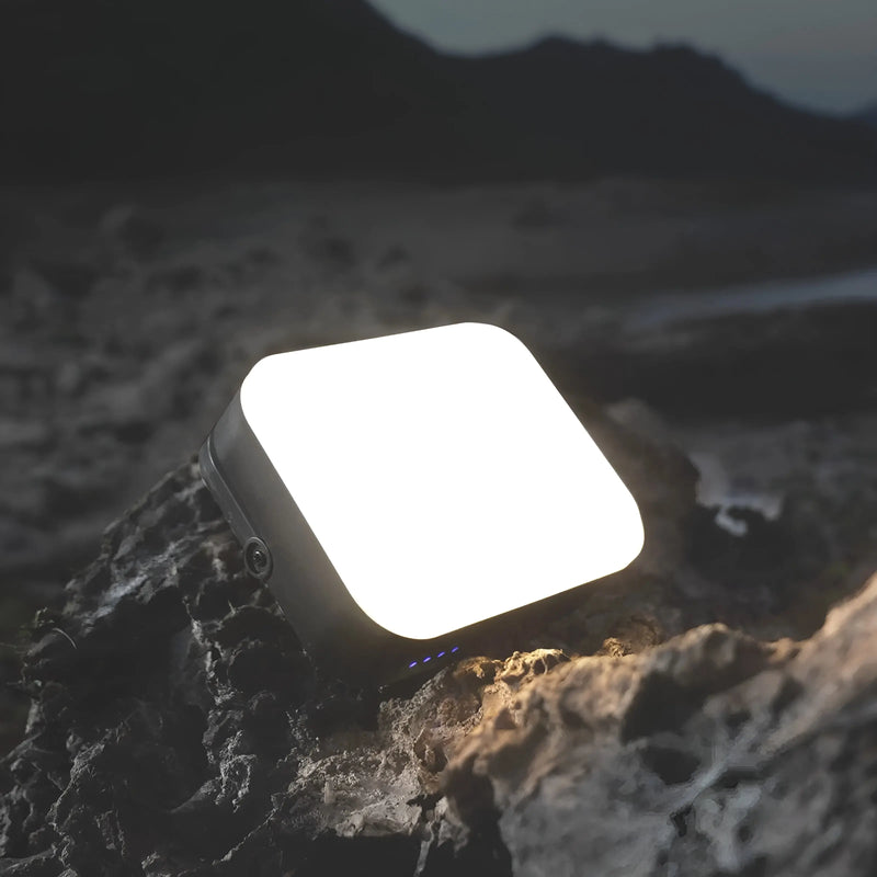 Portable LED camping light