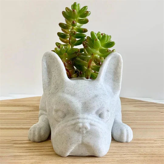 Pup- A unique dog design