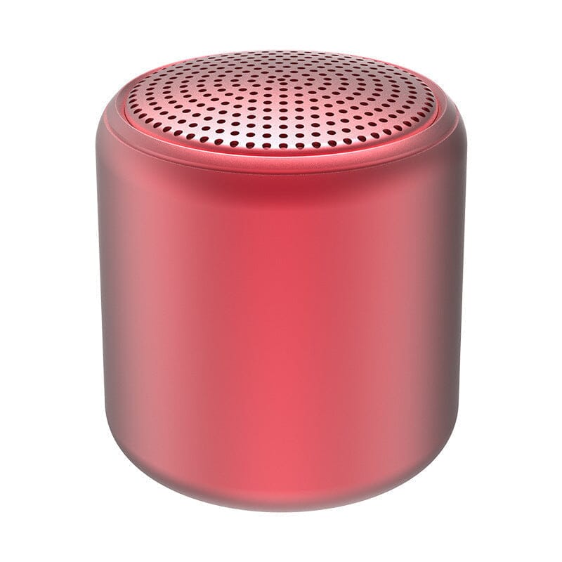 Portable Bluetooth Speaker