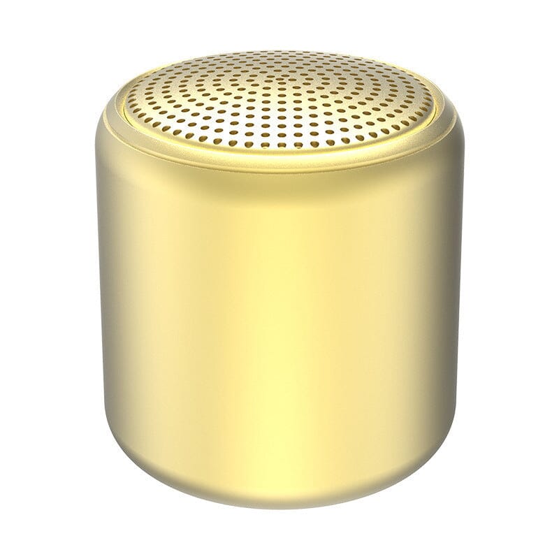 Portable Bluetooth Speaker