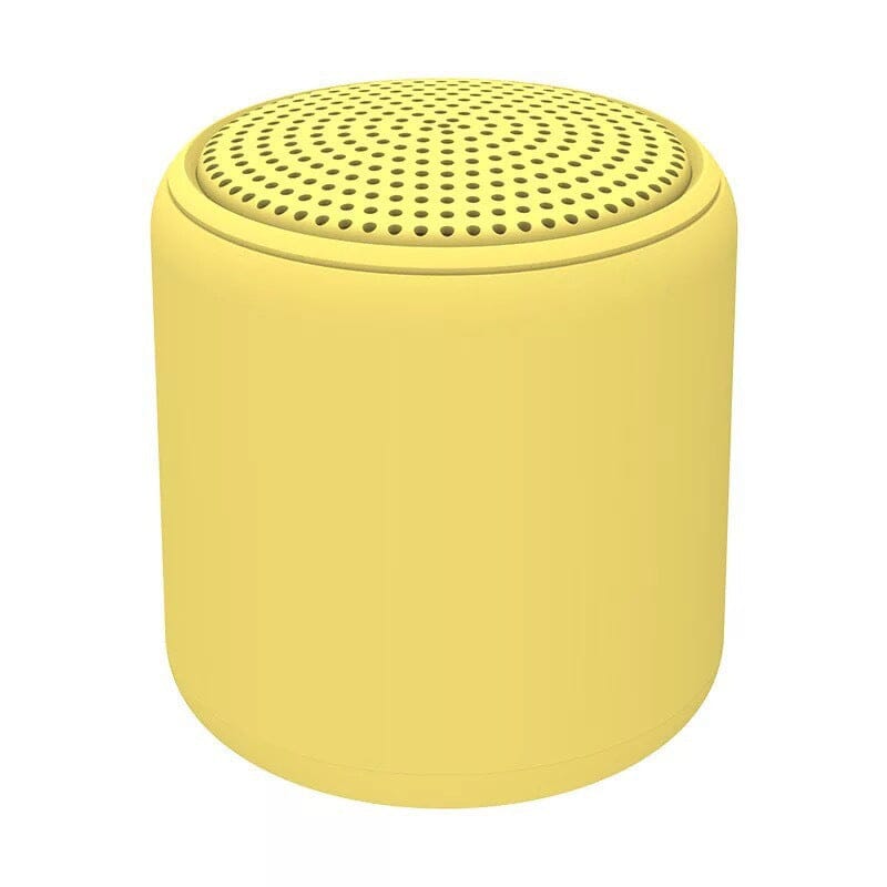 Portable Bluetooth speaker