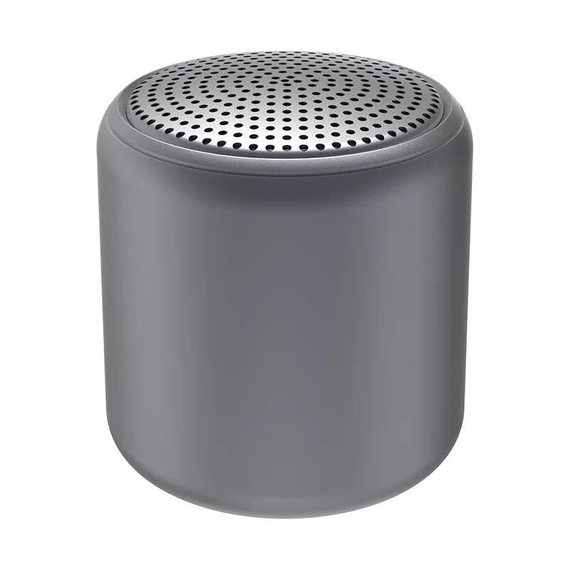 Portable Bluetooth Speaker