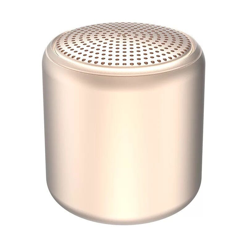 Portable Bluetooth Speaker