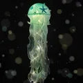 Jellyfish LED Night Light