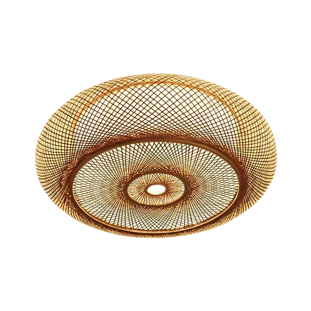 LysViva Artistic Ceiling Lamp