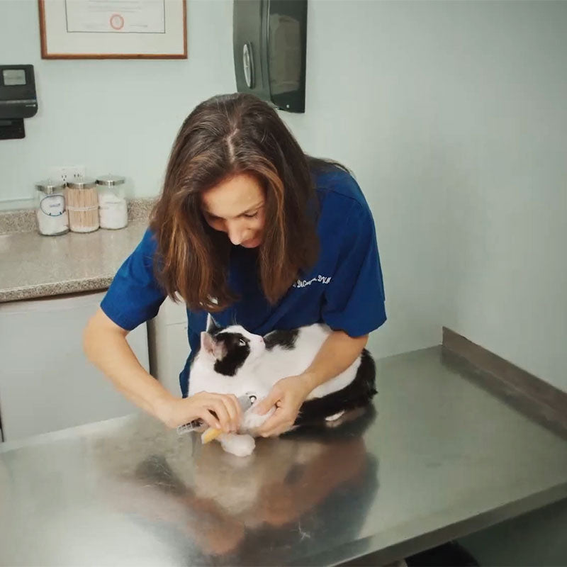 Best dog nail clipper with quick sensors