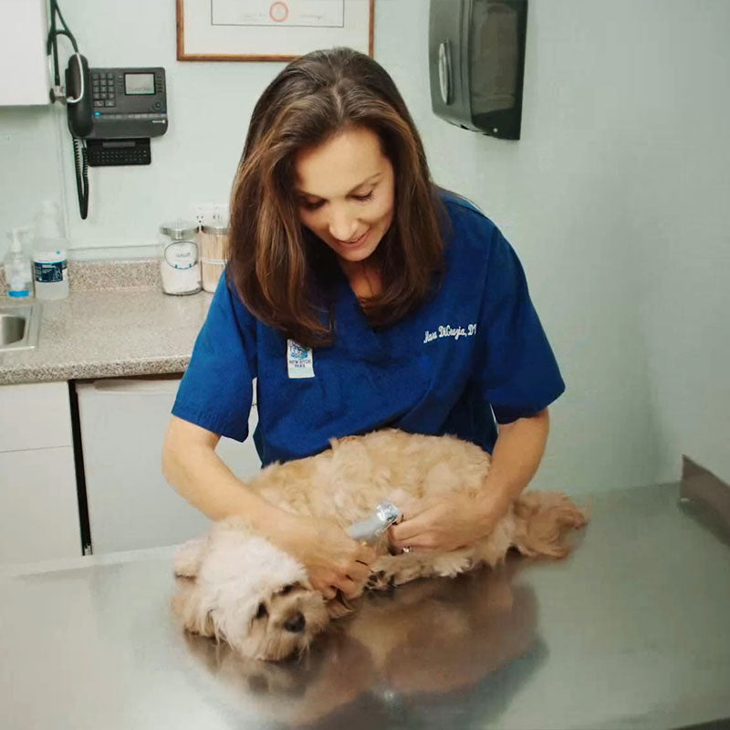 Best dog nail clipper with quick sensors