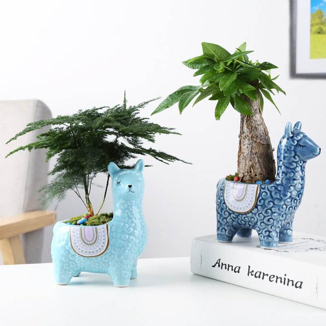 AlpacaSprout - Beautiful Alpaca Succulent Pot for Your Room