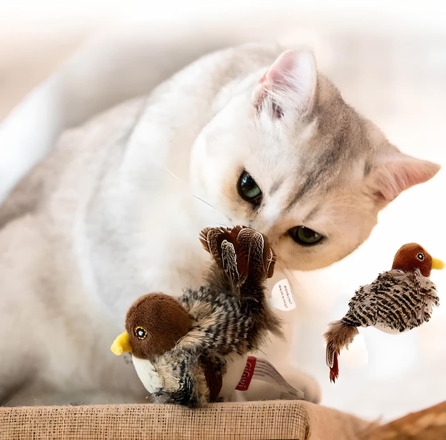 BirdFriend Interactive Cat Toy with Realistic Movement
