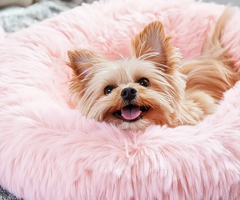 Cozy | Round Pet Bed for Comfort and Relaxation