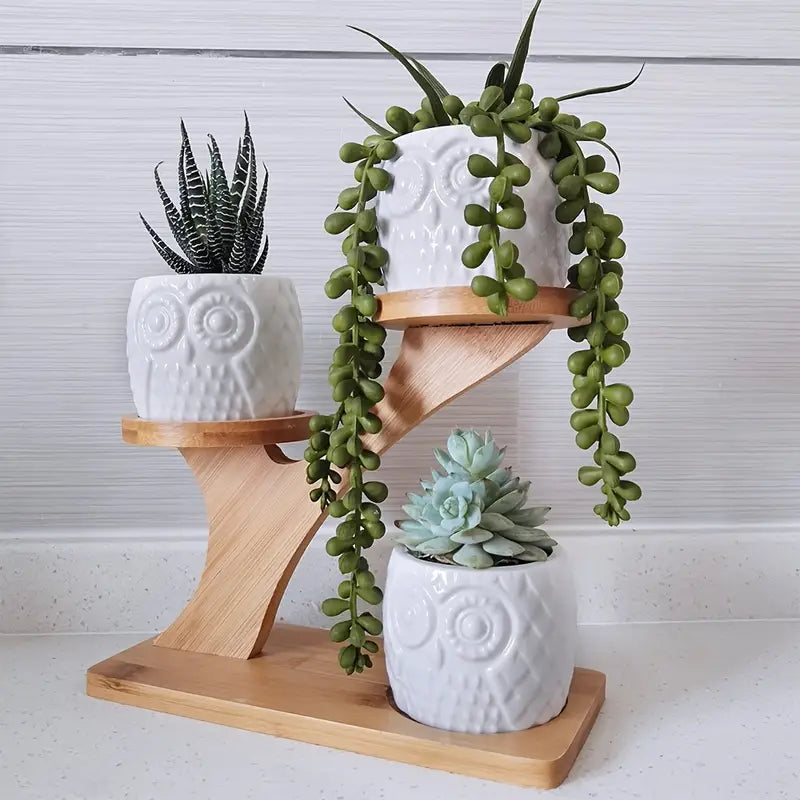 OwlTrio Wooden Plant Holder with Decorative Owl Pots for Indoor Use