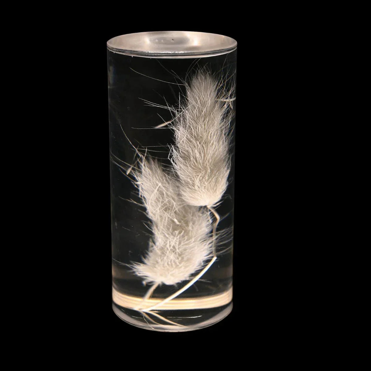 FloraGlow - LED Table Lamp with Flower-Filled Clear Cylinder Base