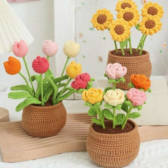 BloomCraft - Decorative Flower Pots for the Elegance of Your Home