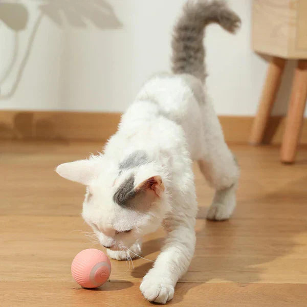 WhiskerWhirl - Interactive Rolling Ball Electric Cat Toy